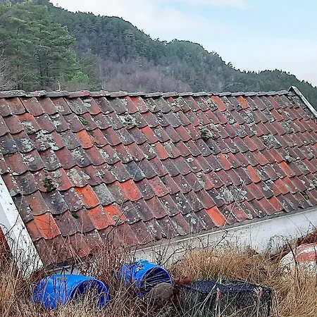 7 Person In Sandnes-by Traum * Forsand